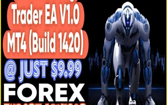 BTMM Swing Trader EA v1.0 MT4