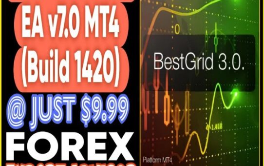 BestGride 3.0 EA V7.0 MT4