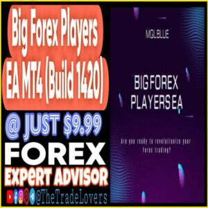 Big Forex Players EA MT4