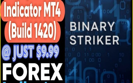 Binary Striker Indicator MT4