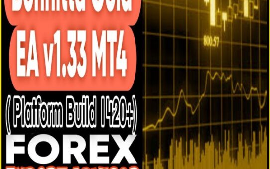 Bonnitta Gold EA V1.33 MT4