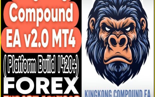 Kingkong Compound EA V2.0 MT4