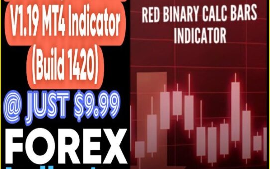 RED Binary Calc Bars Indicator V1.19 MT4