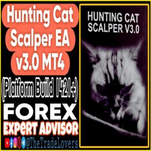 Hunting Cat Scalper EA v3.0 MT4