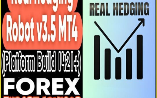 Real Hedging EA V3.5 MT4