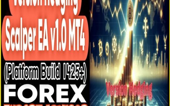 EA Hedging Scalper v1 M5-H4 MQ4