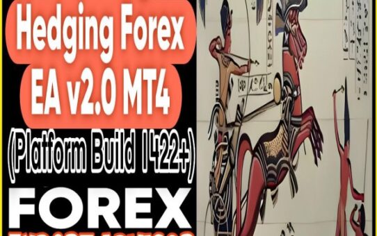 The King Hedging Forex EA
