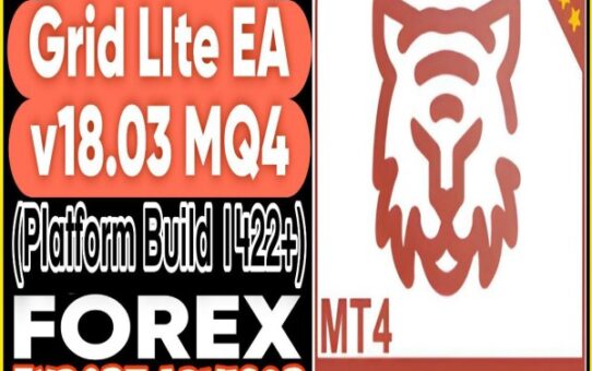 VR Smart Grid Lite v18.03 Source Code MQ4