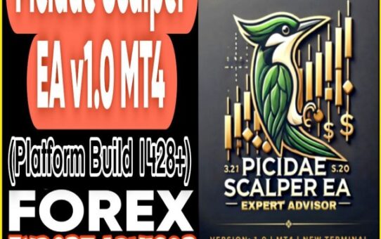 Picidae Scalper EA v1.0 MT4