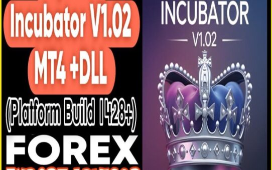 Royal EA Incubator V1.02 MT4
