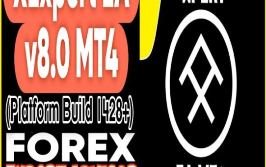 XEXPERT EA v8.0 MT4