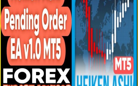 Heiken Ashi Pending Order EA v1.0 MT5