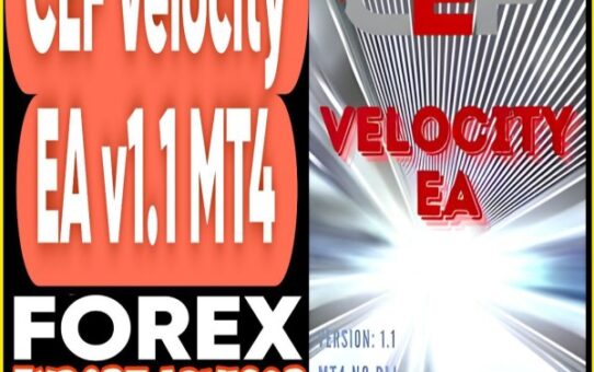 CEF Velocity EA v1.1 MT4