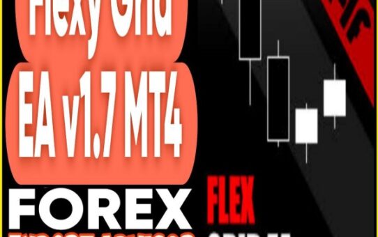 Flexy Grid EA v1.7 MT4