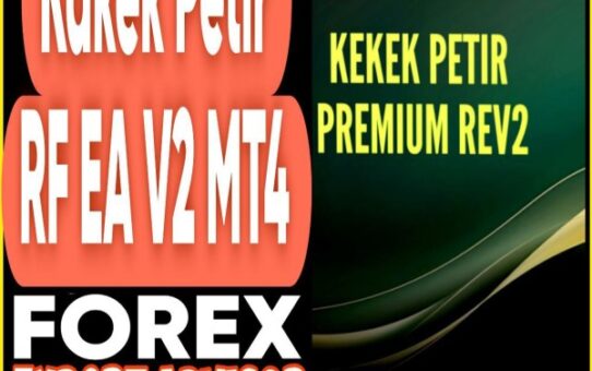 Kakek Petir RF EA V2 MT4
