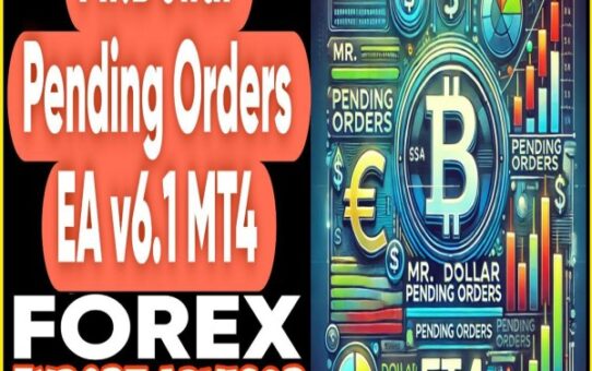 MR.Dollar Pending Orders EA V6.1 MT4