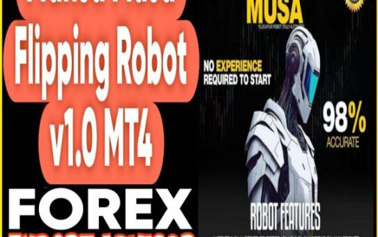 Mansa Musa Flipping Robot