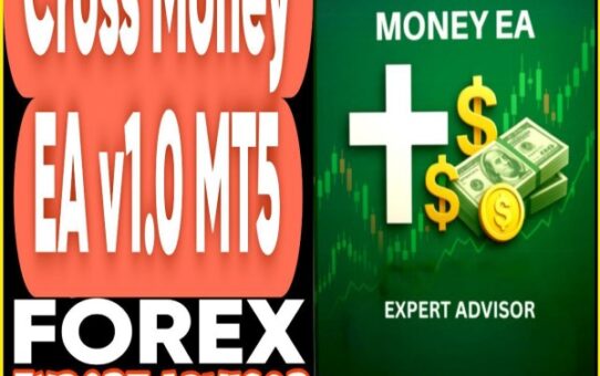Cross Money EA v1.0 MT5