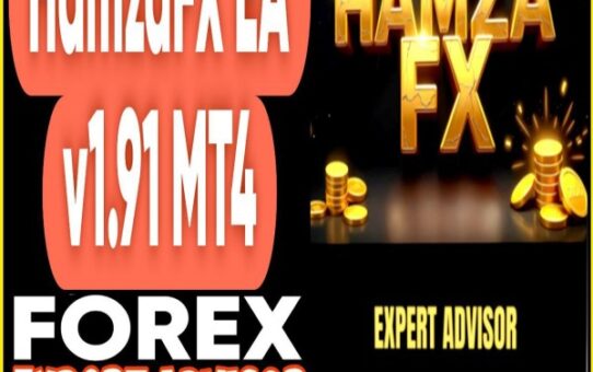 HamzaFX EA v1.91 MT4