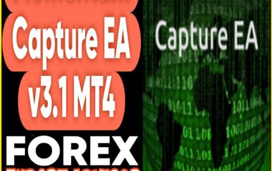 Momentum Capture EA v3.1 MT4