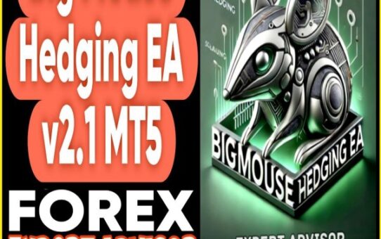 BigMouse Hedging EA v2.1 MT5 + Presets (Works on Build 5120+) | Forex Robot | MT5 Expert Advisor