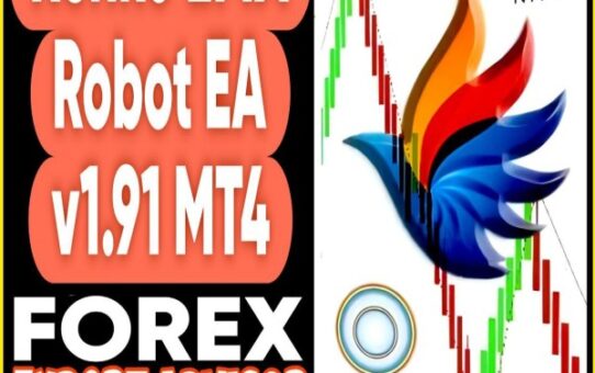Renko EMA Robot EA v9.1 MT4