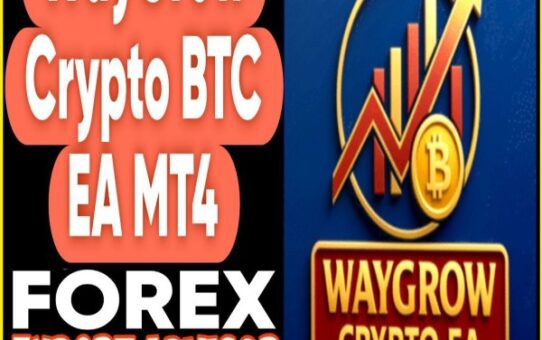 WayGrow Crypto EA v1 MT4