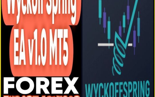 Wyckoff Spring EA v1.0 MT5