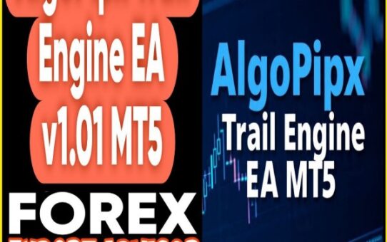 ALGOPIPX Trail Engine EA v1.01 MT5