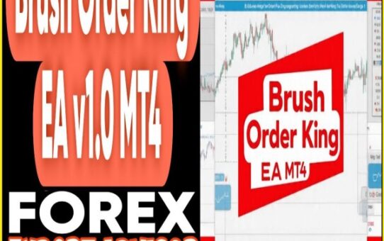 Brush Order King EA v1.0 MT4