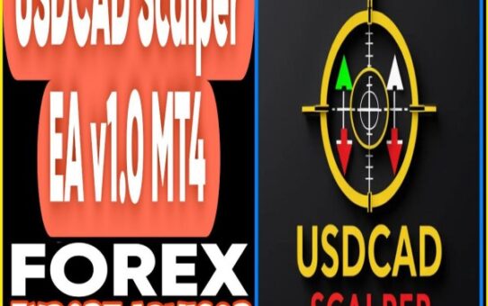 USDCAD Scalper EA v1.0 MT4