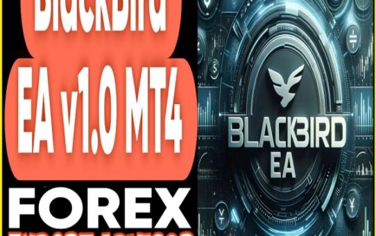 BlackBird EA v1.0 MT4