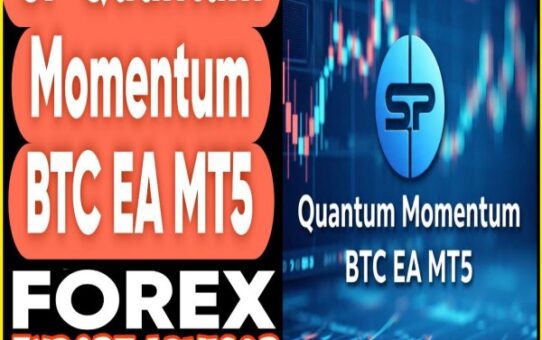 SP Quantum Momentum BTC EA MT5