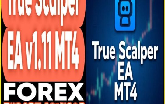 True Scalper EA v1.11 MT4