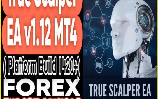 True Scalper EA v1.12 MQ4 Source Code
