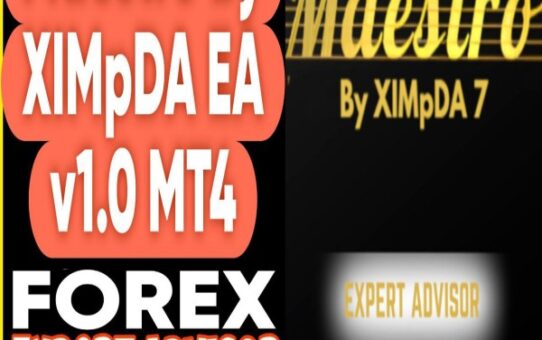 Maestro By XIMpDA EA v1.0 MT4