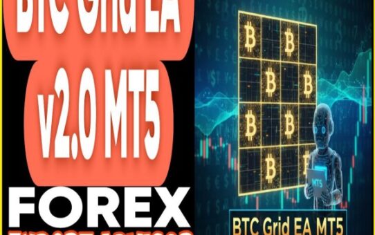 BTC Grid Expert EA v2.0 MT5