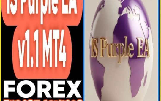 IS Purple EA v1.1 MT4