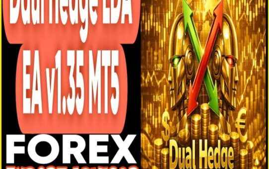 Dual Hedge LDA EA v1.35 MT5