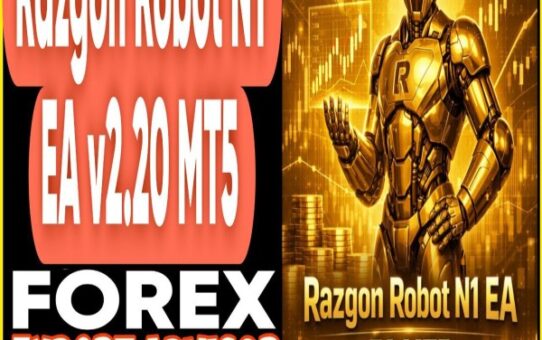 Razgon Robot N1 EA v2.20 MT5