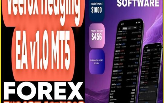 Veerox Hedging EA v1.0 MT5