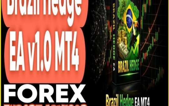 Brazil Hedge EA v1.0 MT4