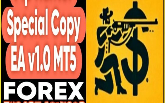 PIP Hunter Special Copy EA v1.0 MT5