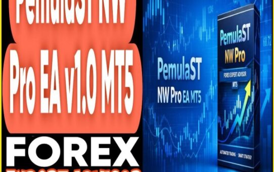PemulaST NW PRO EA v1.0 MT5