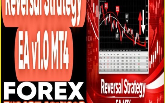 Reversal Strategy EA v1.0 MT4