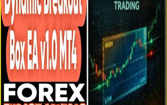 Dynamic Breakout Box EA v1.0 MT4