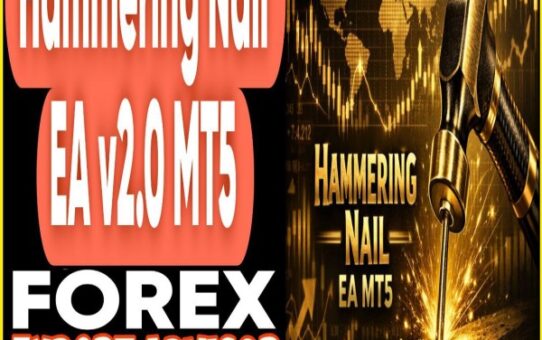 Hammering Nail EA v2.0 MT5