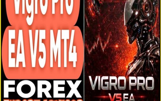 Vigro Pro EA v5.0 MT4
