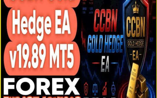 CCBSN Gold Hedge EA v19.89 MT5
