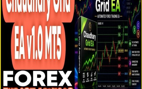 Chaudhary Grid EA v1.0 MT5